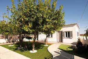 a house with two trees in a yard at Villetta Caterina in Procida