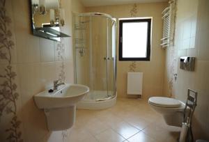a bathroom with a sink and a shower and a toilet at Willa pod stokiem Bolesławów in Bolesławów