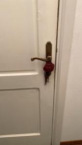 a door with a door knob and a red rose at Affittacamere Casa Delle Rose in Antria