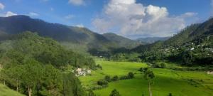 a green field with trees and mountains in the background at Odyssey Stays Kausani in Kausani
