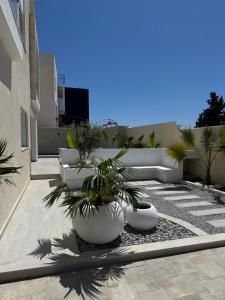 Gallery image of Villa Sofia in Hammamet Nord +3 photos