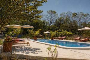 a swimming pool with chairs and umbrellas at Busy Bee Nature Residence in Mariama Kunda