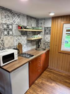 a kitchen with a sink and a microwave at Chata Hugo in Česká Lípa +18 photos