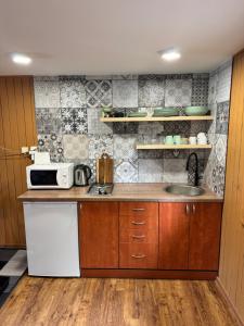 a kitchen with a sink and a microwave at Chata Hugo in Česká Lípa