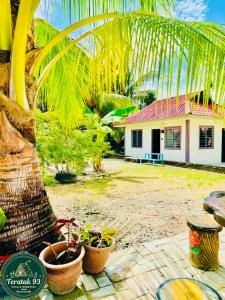 a palm tree in front of a house with plants at Teratak 93 in Karak