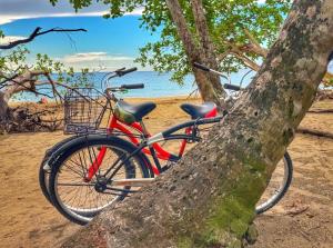 a bike parked next to a tree on the beach at Serenity House in Cahuita