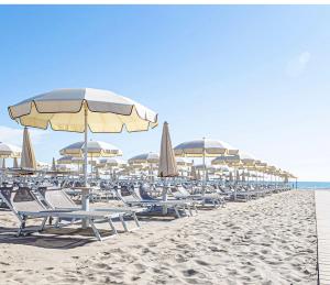 a row of chairs and umbrellas on a beach at Pernottamento Madonna del Pino Cervia in Cervia