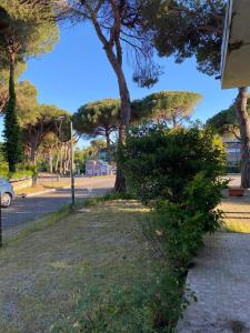 a park with trees and a street with a car at Pernottamento Madonna del Pino Cervia in Cervia +2 photos