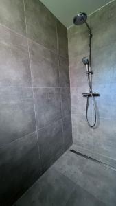 a shower with a shower head in a bathroom at Emsland-Hus WG2 in Niederlangen