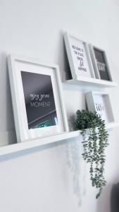 a shelf with three pictures and a plant on it at Emsland-Hus WG2 in Niederlangen