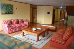 Posezení v ubytování Hotel Saltos del Paine