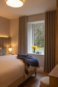 a bedroom with a bed and a window at The Residence Ashford in Cong