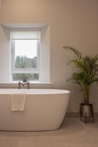 a white bath tub in a bathroom with a plant at The Residence Ashford in Cong