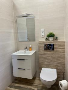 a bathroom with a toilet and a sink and a mirror at Parkány Litoměřice in Litoměřice +23 photos