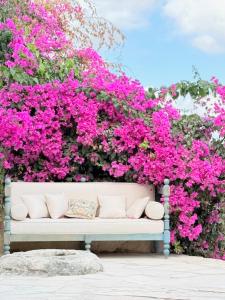 a bench in front of a wall of pink flowers at Boreas Retreat - Mountain Escape & Spa in Batroûn
