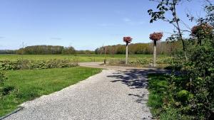a path in a park with a field and trees at BenB Tuskendepade in Oldeholtpade