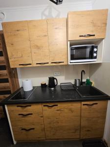 a kitchen with a sink and a microwave at U Efci in Kościelisko