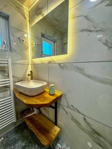 a bathroom with a sink and a mirror at Apartment Gacka in Otočac +34 photos