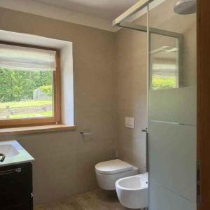 a bathroom with a toilet and a sink and a window at Chalet in Pieve di Ledro-Ledrosee 57751 in Pieve Di Ledro +20 photos