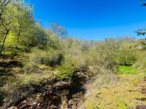 a creek in the middle of a forest at Garden Cabin at Shengan in Banavie +22 photos