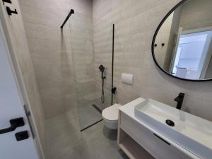 a bathroom with a toilet and a sink and a mirror at Sea Star in Žman +1 photo