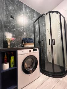 a washer and dryer in a bathroom with a shower at Apartament Raj in Biała Podlaska