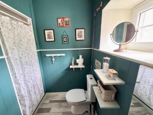 a bathroom with a toilet and a sink and a mirror at Maison Luard in Bedous +14 photos