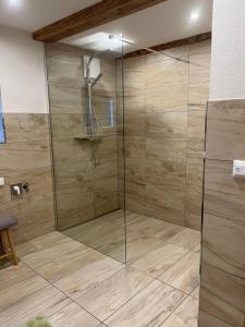 a bathroom with a shower with a glass door at Almhütte, Ferienhaus Hadn Hube in Paisberg +17 photos