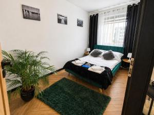 a bedroom with a bed with pillows and a plant at Ami Luxury Residence VI CENTRUM - parking- in Iława