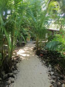 a path through a garden with palm trees at Cabaña-estudio selvatica in Utila