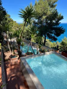 a large swimming pool with palm trees and the ocean at NSM Villa Carlotta E Villa Guarda che Mare in Vieste - Gargano- Puglia in Pugnochiuso
