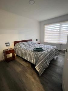a bedroom with a bed and a large window at Refugio Austral in Punta Arenas +1 photo