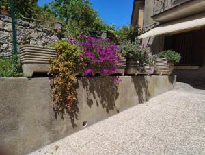 a bunch of flowers in pots on a wall at Casa Bonaccorsi in Civitella Del Lago