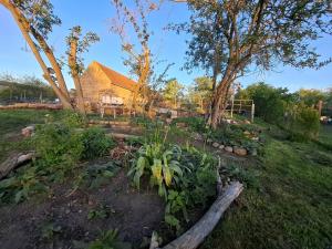 a garden with a house in the background at Glamping Dübener Heide in Bad Schmiedeberg