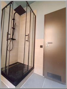 a shower with a glass door in a bathroom at Fabcap Kapsel Apartment in Halle an der Saale +29 photos