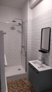 a bathroom with a shower and a sink and a mirror at Appartement T2 Rennes Saint Hélier in Rennes