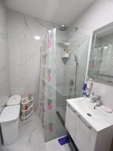 a bathroom with a shower and a toilet and a sink at Family Home Apartment in Bar +10 photos