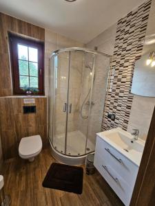 a bathroom with a shower and a toilet and a sink at Agroturystyka Pod Sosnami w Atenach in Nowinka +49 photos