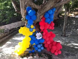 a bunch of balloons tied to a tree at Razem Lendina e Qete in Razëm