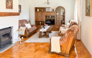 a living room with couches and a fireplace at Gorgeous Home In Buzim in Bužim