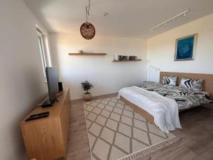 a bedroom with a bed and a flat screen tv at Penthouse-Villa Natura in Hegykő