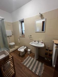 a bathroom with a sink and a toilet and a mirror at I Quattro Grappoli in Neive