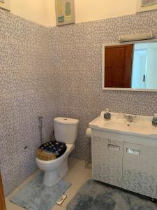 a bathroom with a toilet and a sink at Linda's Guest House in Rotouma