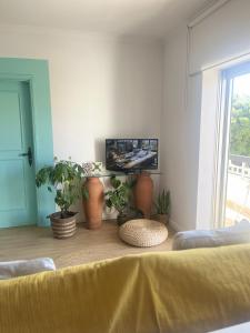 a living room with potted plants and a flat screen tv at Furadouro Cool & Cozy Flat in Furadouro
