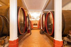 a row of wine barrels in a cellar at Dimora Perla di Villa - Spacious Wine Estate Retreat near Bernina Express in Villa di Tirano