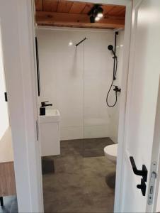 a bathroom with a shower and a toilet at Resort ELSK Sekowski Krempna in Krempna