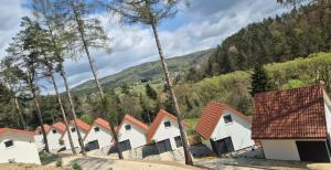 a row of houses with mountains in the background at Resort ELSK Sekowski Krempna in Krempna
