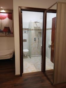 a bathroom with a shower and a toilet at Hotel Grand Inn in Berlin +33 photos