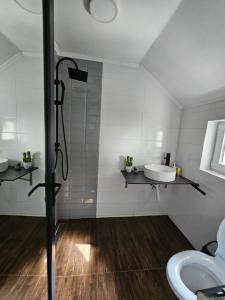 a bathroom with a shower and a sink at Vibe House Madisson in Braşov