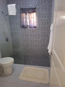 a bathroom with a shower and a toilet at 14 Zeneith Avenue in Harbour View